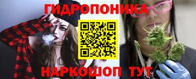 а пвп мука Ачхой-Мартан